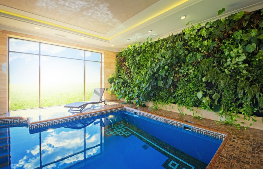 Вертикальное Озеленение в бассейне