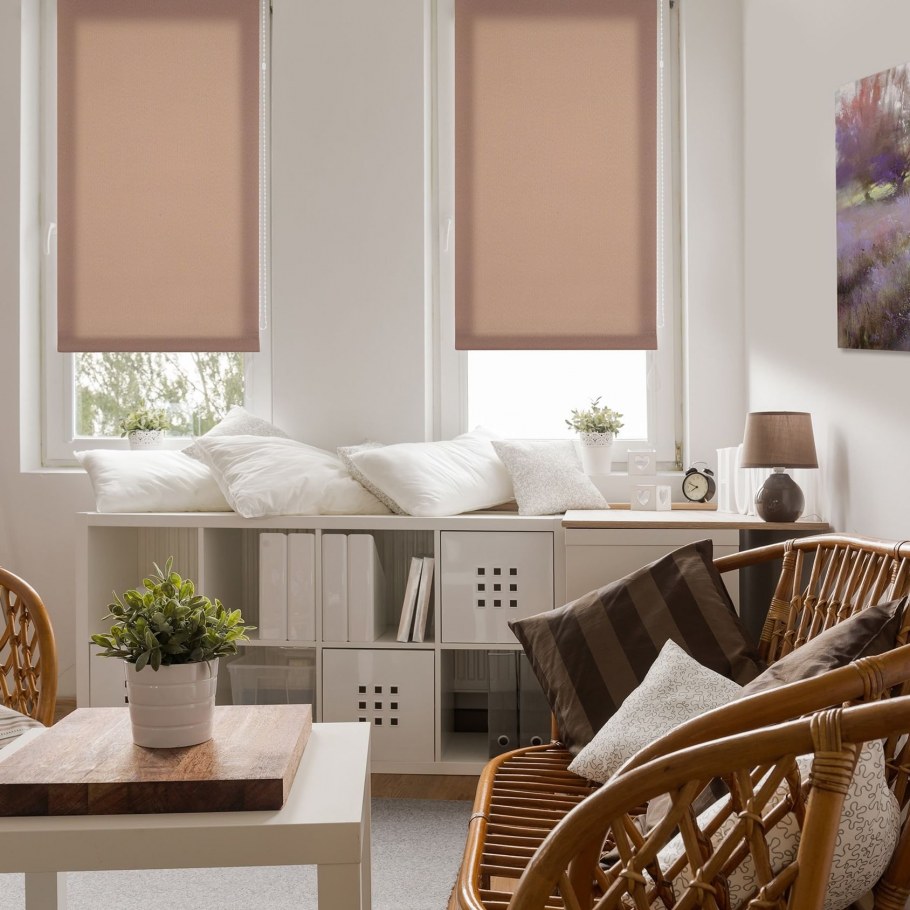 Рулонные шторы Дельфа