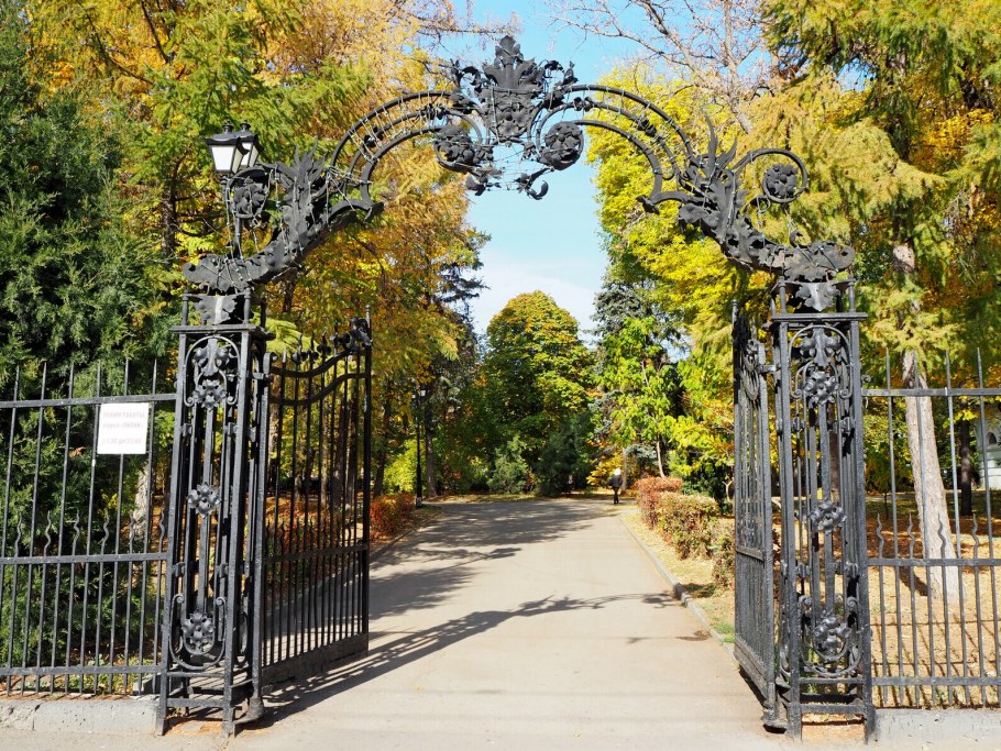 Детский парк Липки старые фото