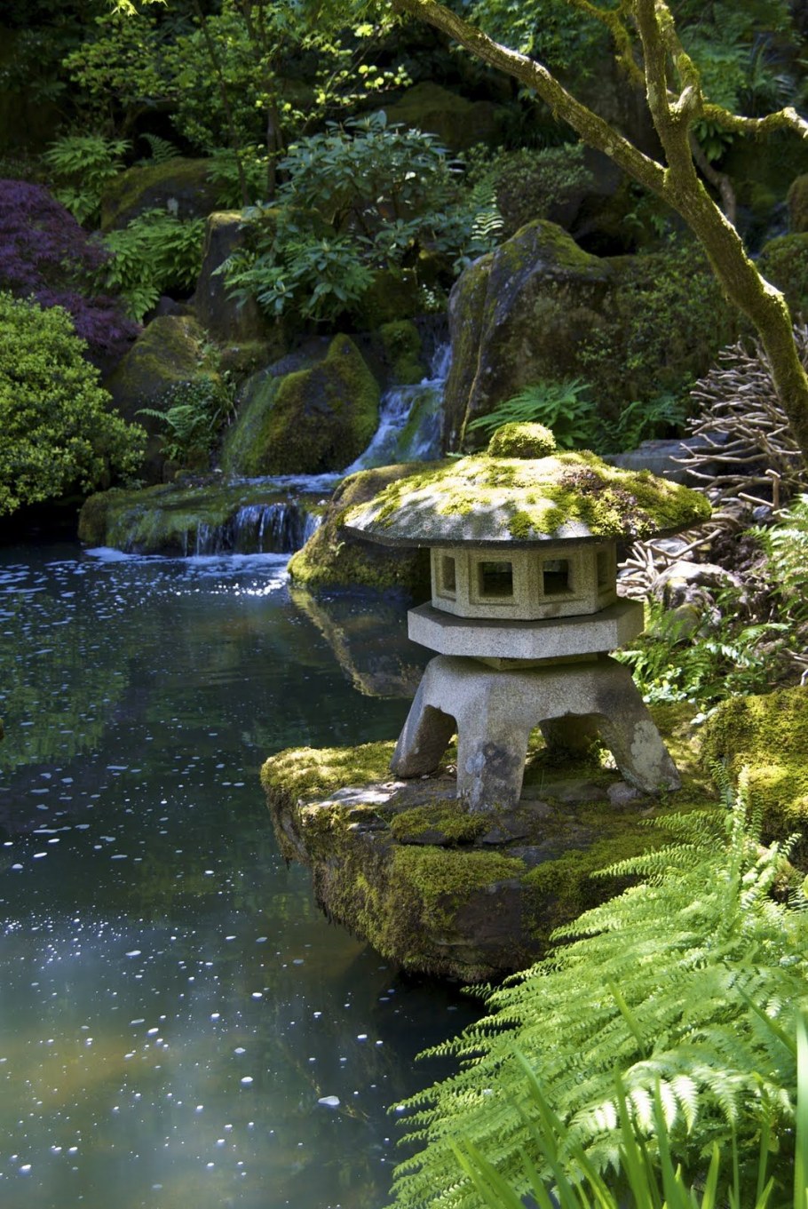 Чайные сады Японии тсукубаи