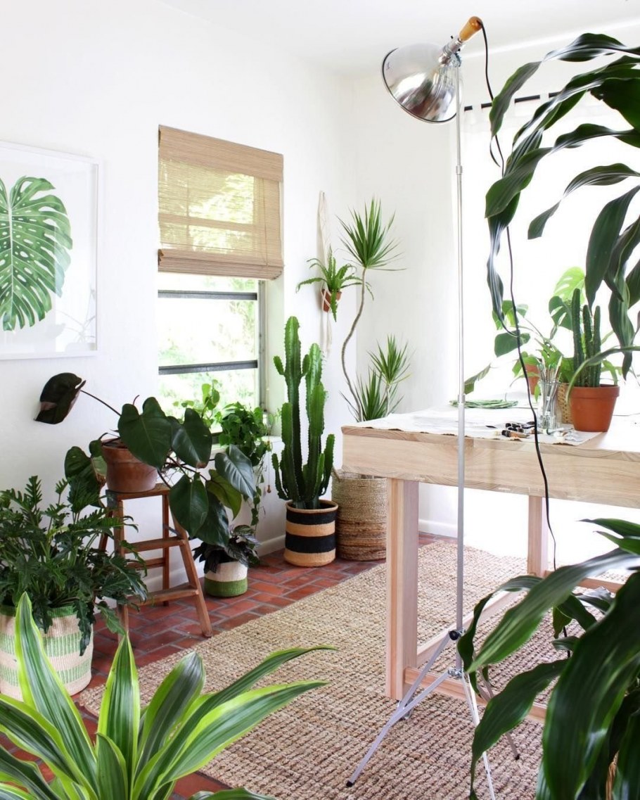 Растения в интерьере хрущевки