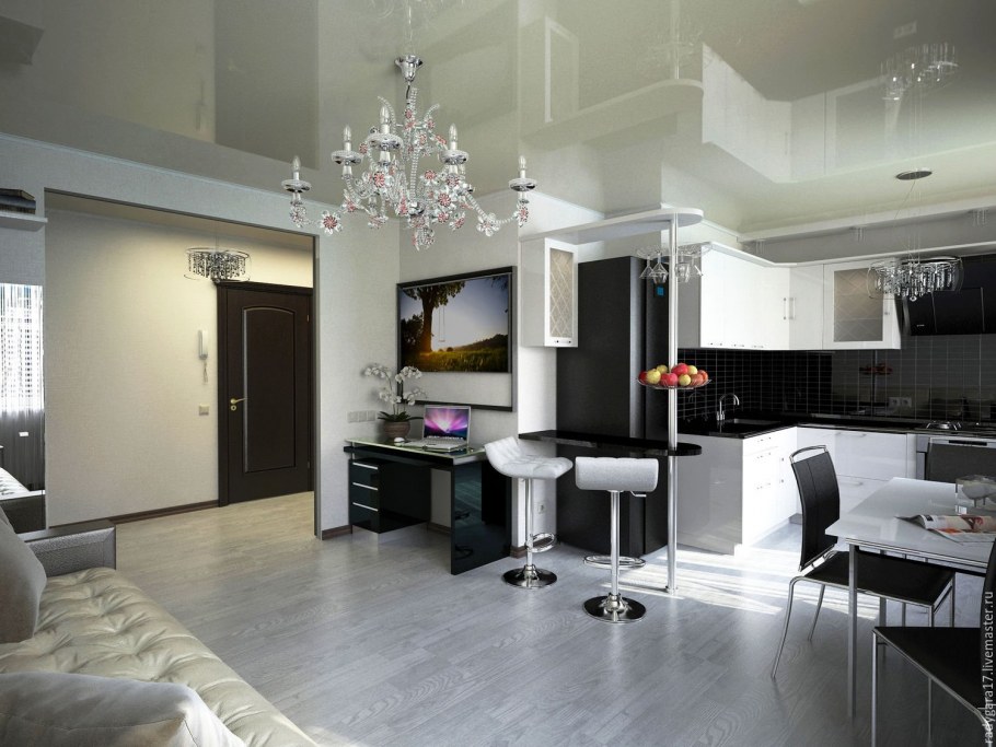 Кухня совмещенная с залом