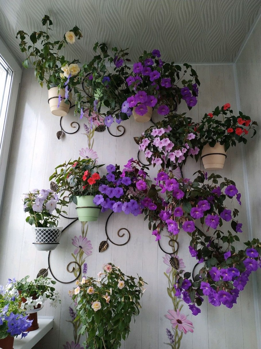 Настенные цветы