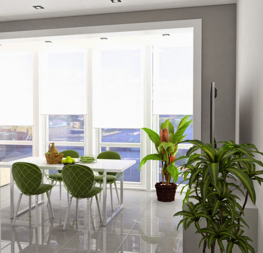 Белая кухня с панорамным окном