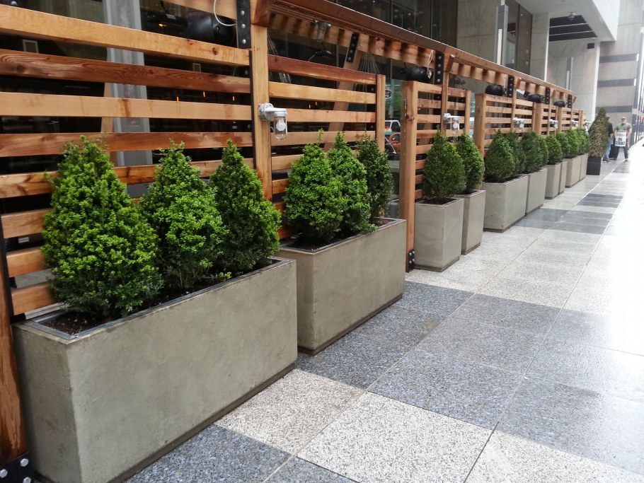 Уличное Озеленение в горшках