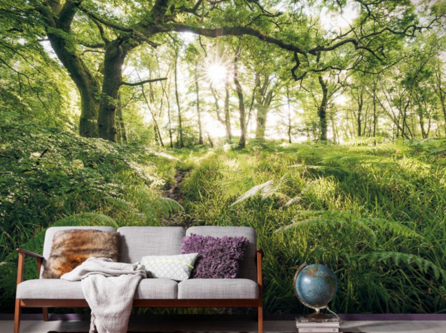 Обои расширяющие пространство природа