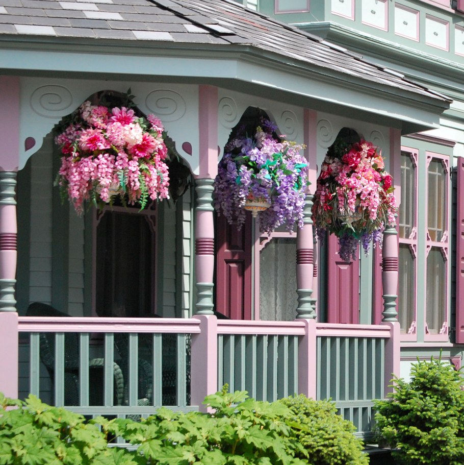 Цветы для украшения фасада дома
