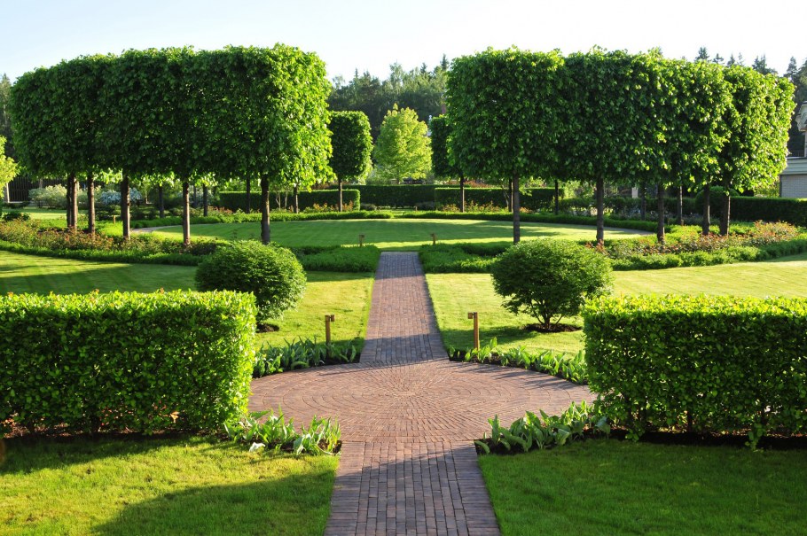 Александр Гривко сады