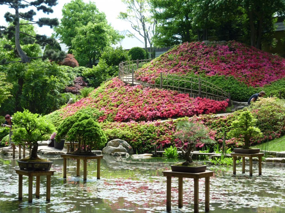 Сад Альберта Кана в Париже