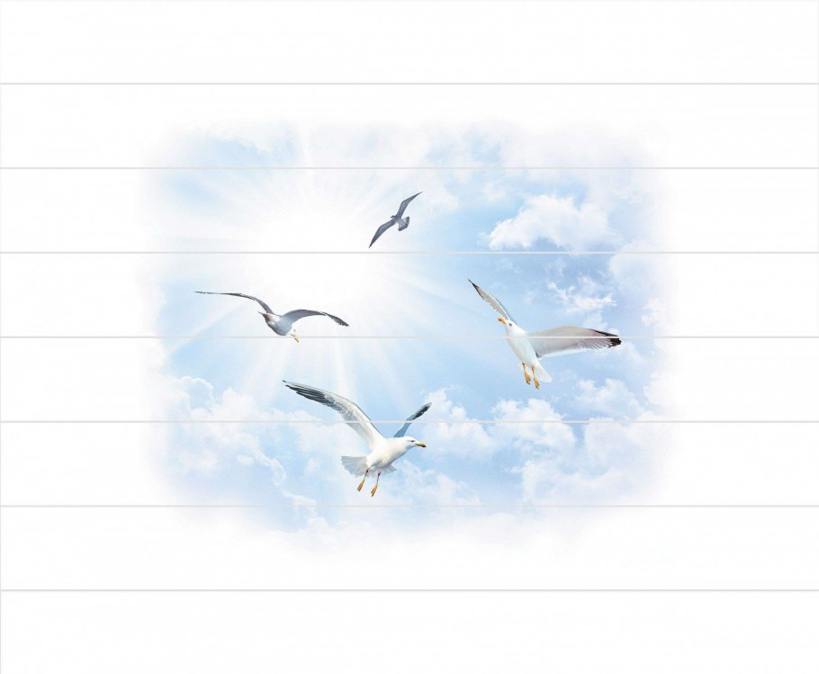 Панель потолочная Новита Чайка