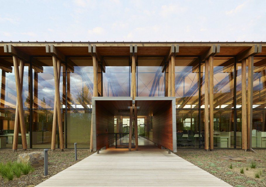 Современные деревянные общественные здания