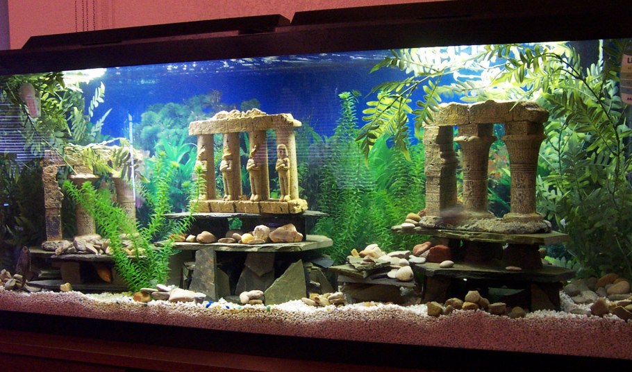 Декор для аквариума