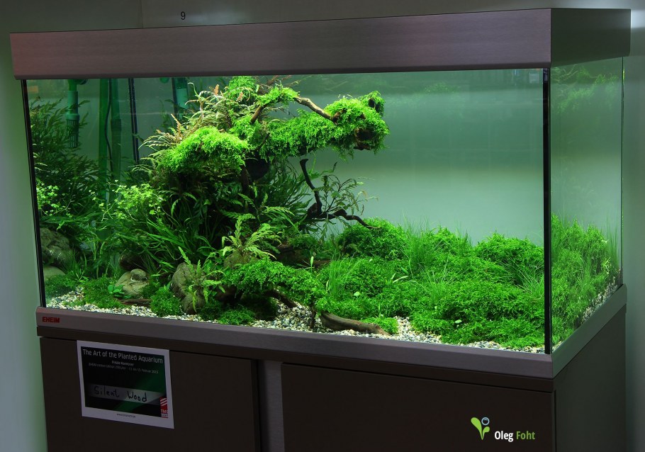 Травник аквариум акваскейп