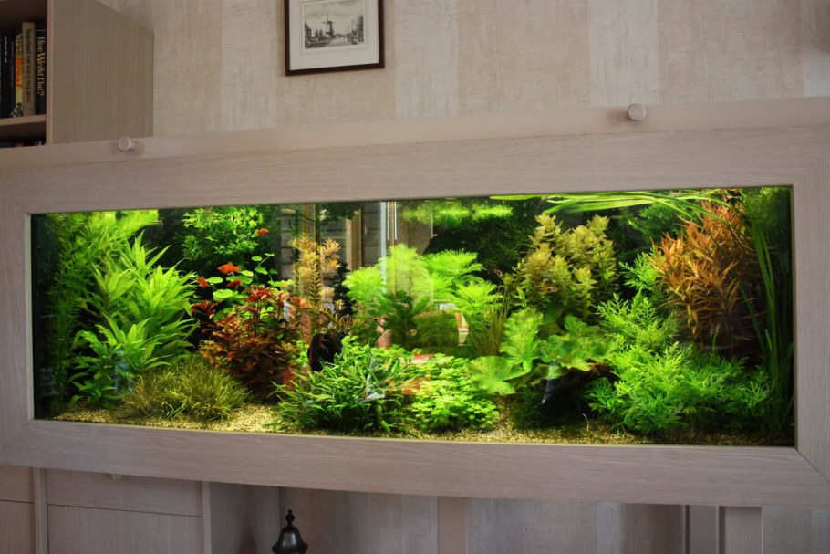 Красивые аквариумы