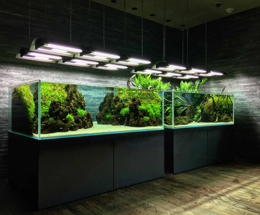 Видовой аквариум