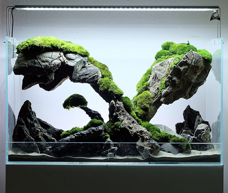 Акваскейп ландшафт