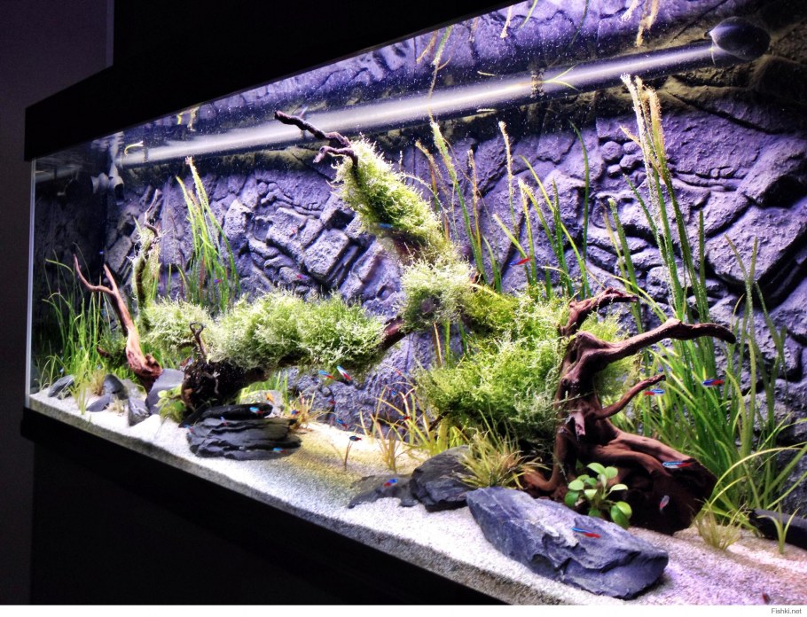 Аквариум 300 литров с корягами