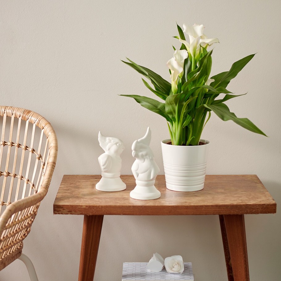 Кашпо Мускат икеа