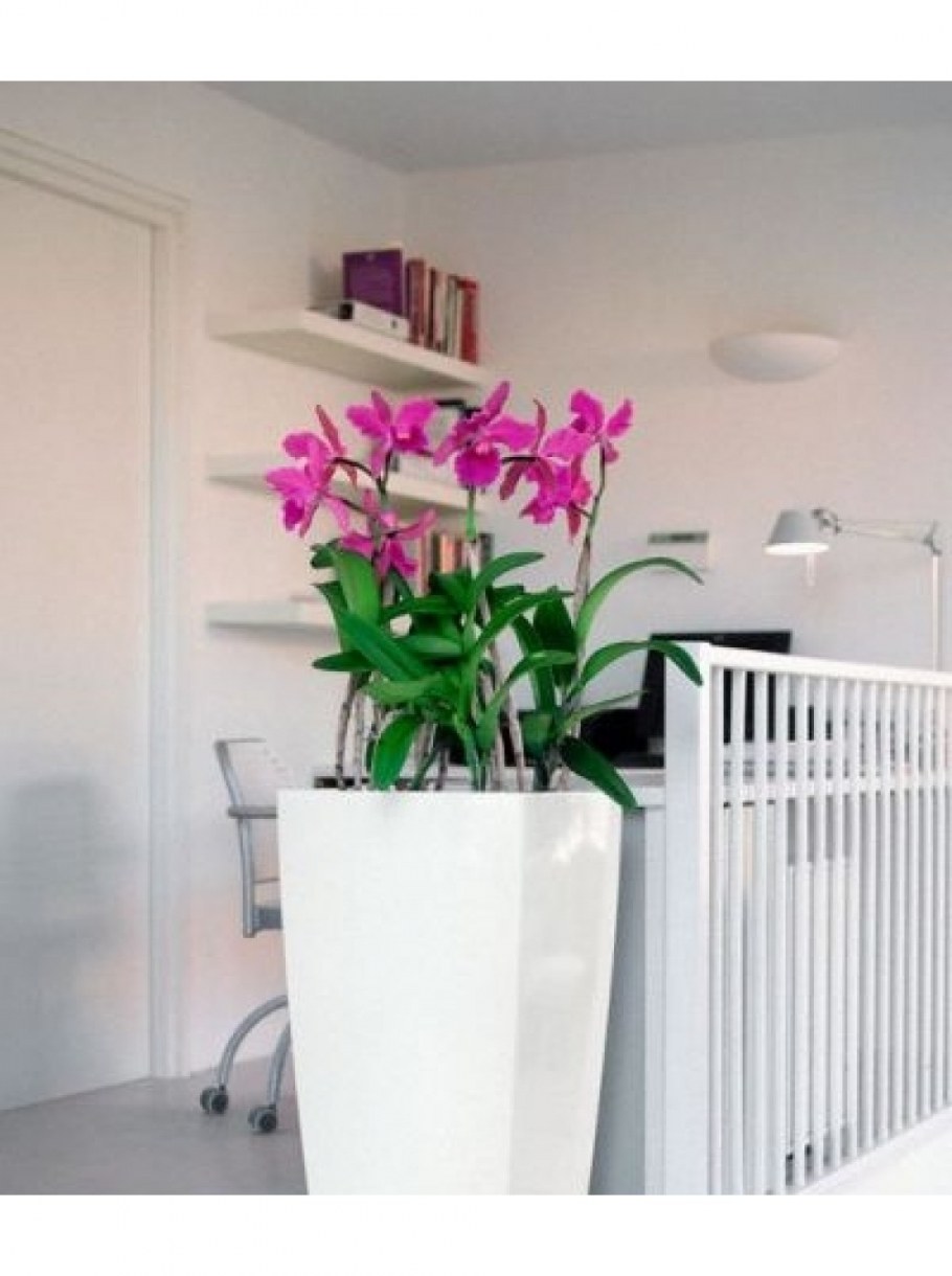 Кашпо Лечуза Кубико