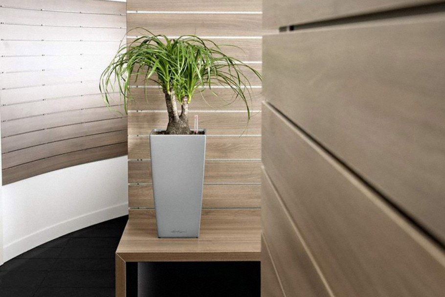 Кашпо Lechuza Кубико