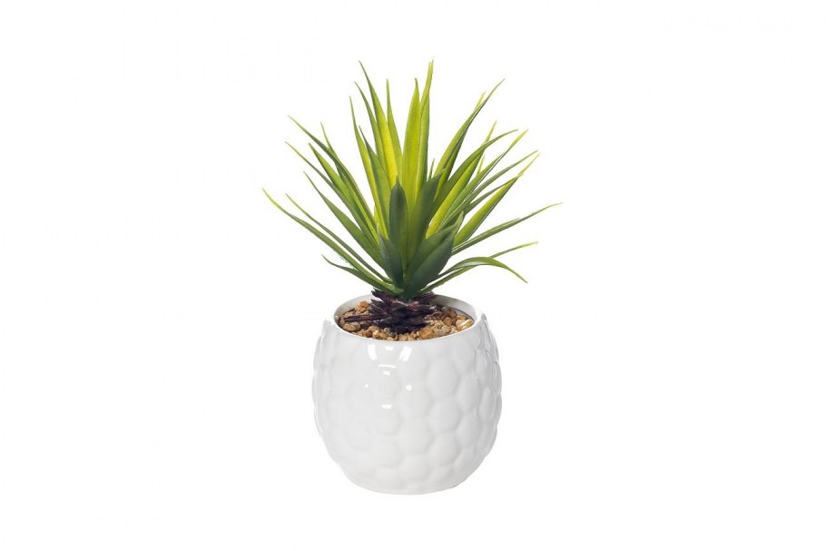 Цветок в белом горшке