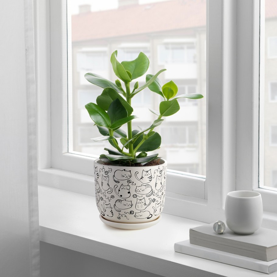 Горшок ikea рундминта