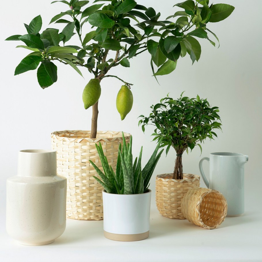 Кашпо бамбук икеа