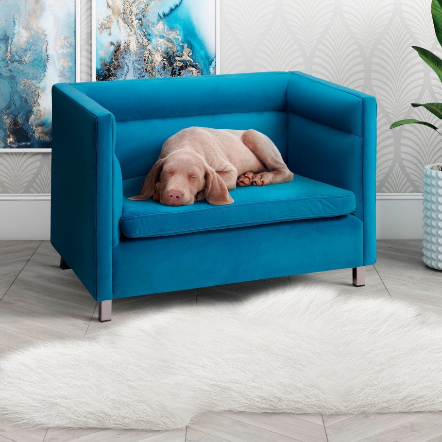 Диванчик для собаки