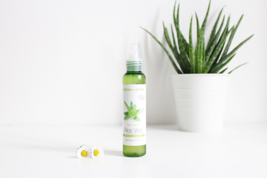 Алоэ Вера цветок домашний