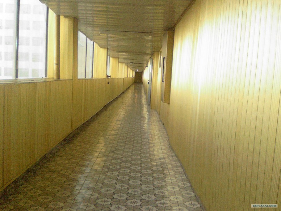 Золотой коридор Чернобыльской АЭС