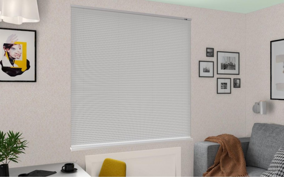 Миниролло, Райли оливковый