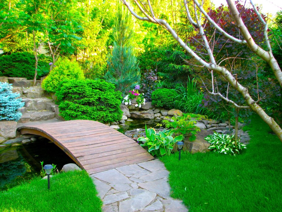 Экостиль ландшафт пруд