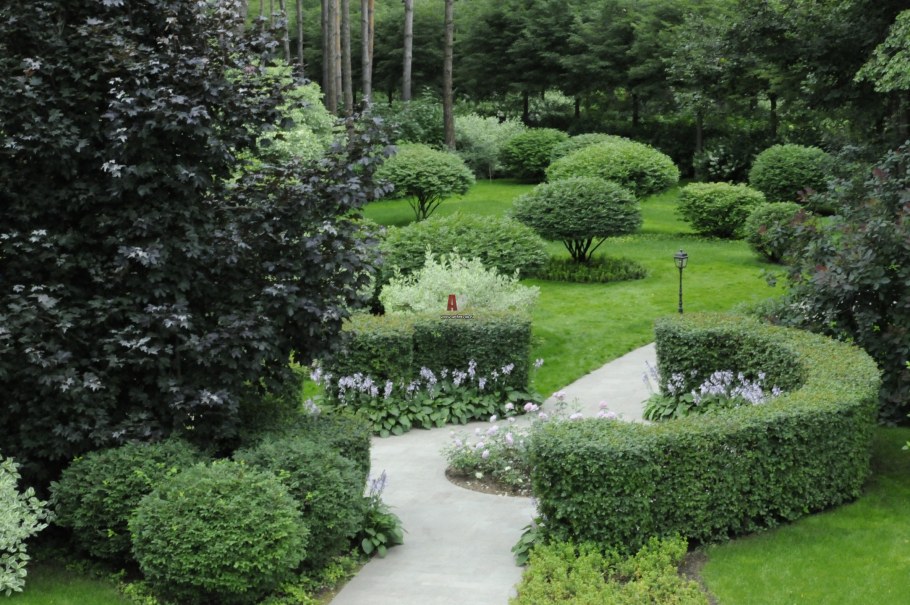 Иль натюр Гривко спирея японская сосны