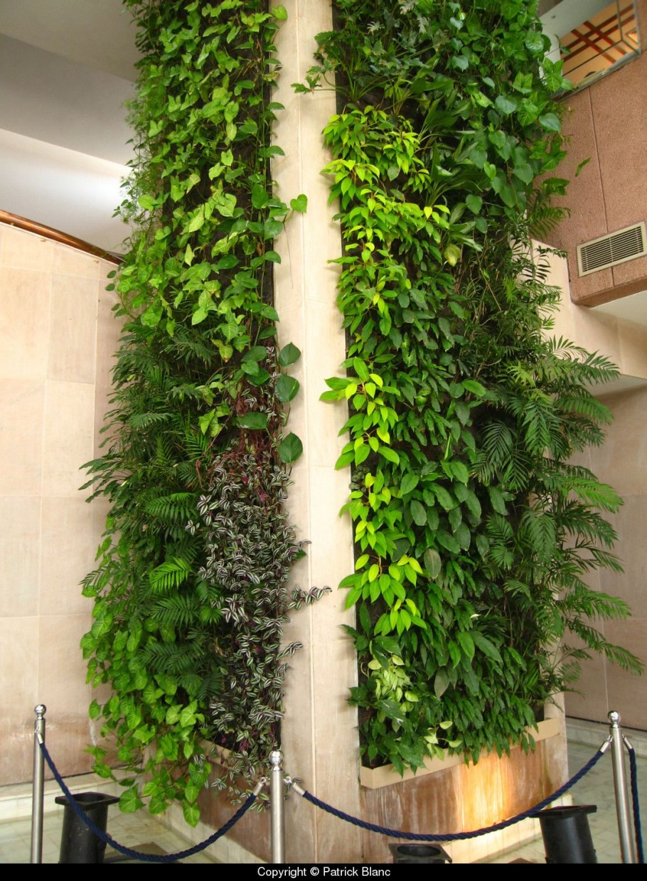 Фитостена колонна