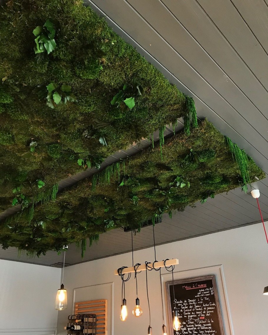 Озеленение потолка