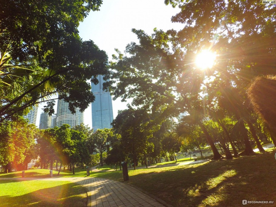 Ботанический сад  Алма-Ата