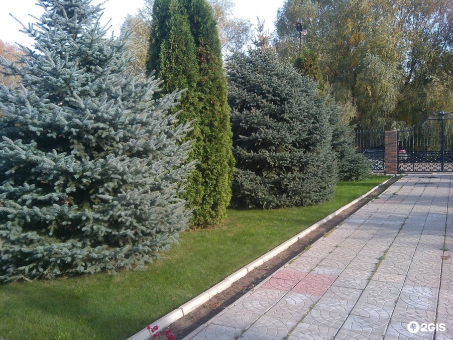 Фитаревская 15 к 1