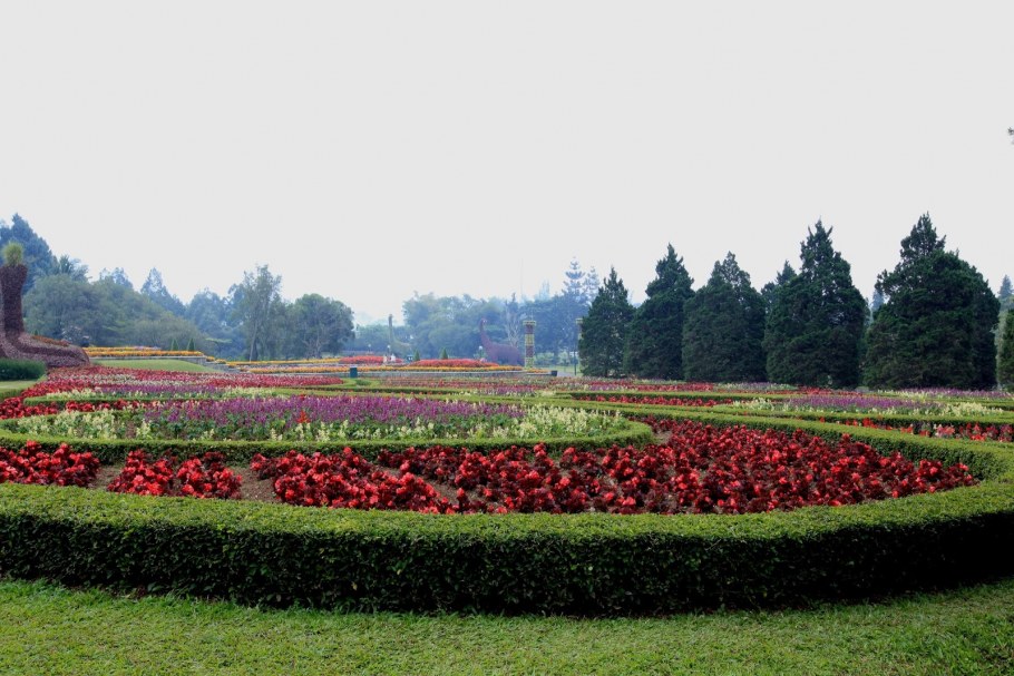 Сокольская история садово-паркового искусства