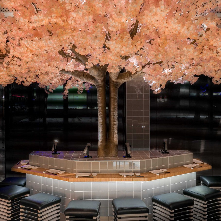 Ресторан на дереве