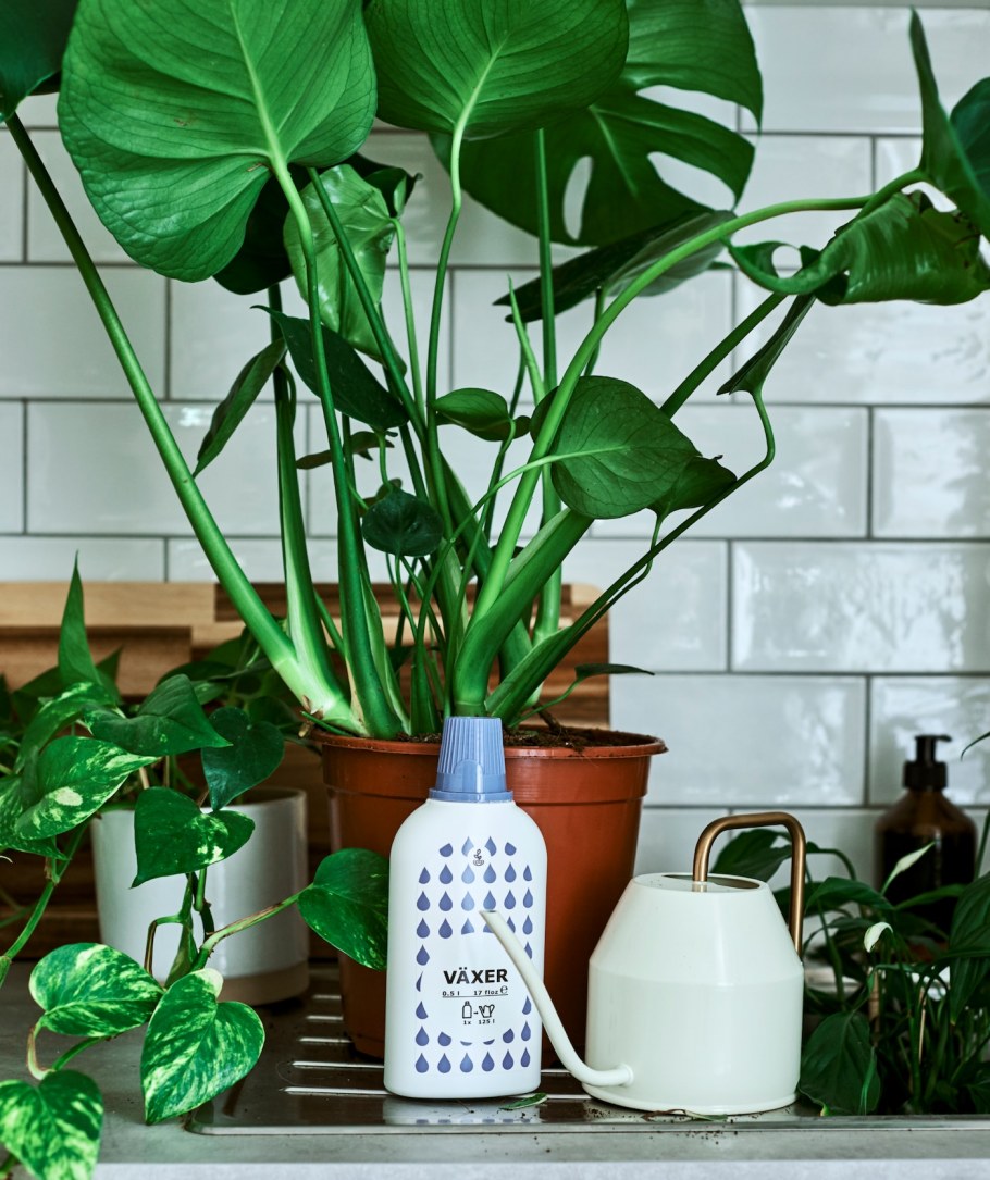 Кашпо Лечуза 28