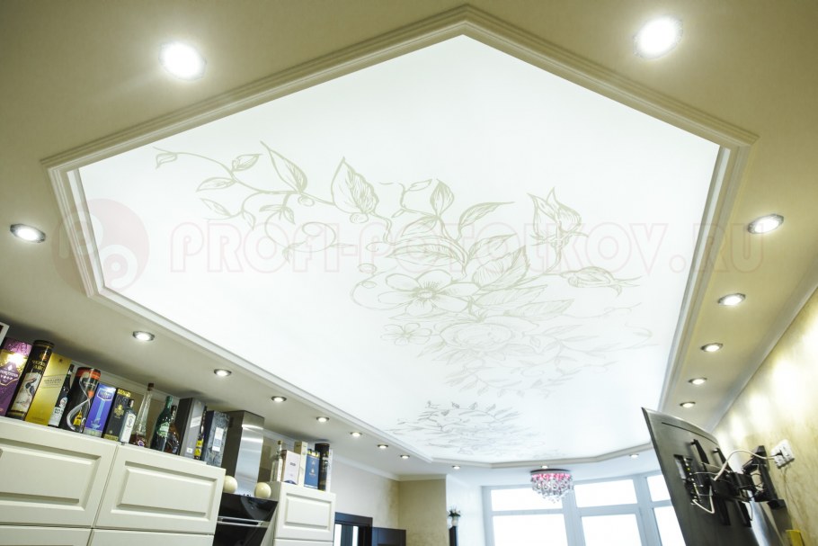 Светильники Paulmann 95075