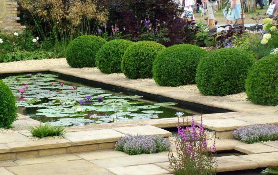 Самшит вокруг фонтана