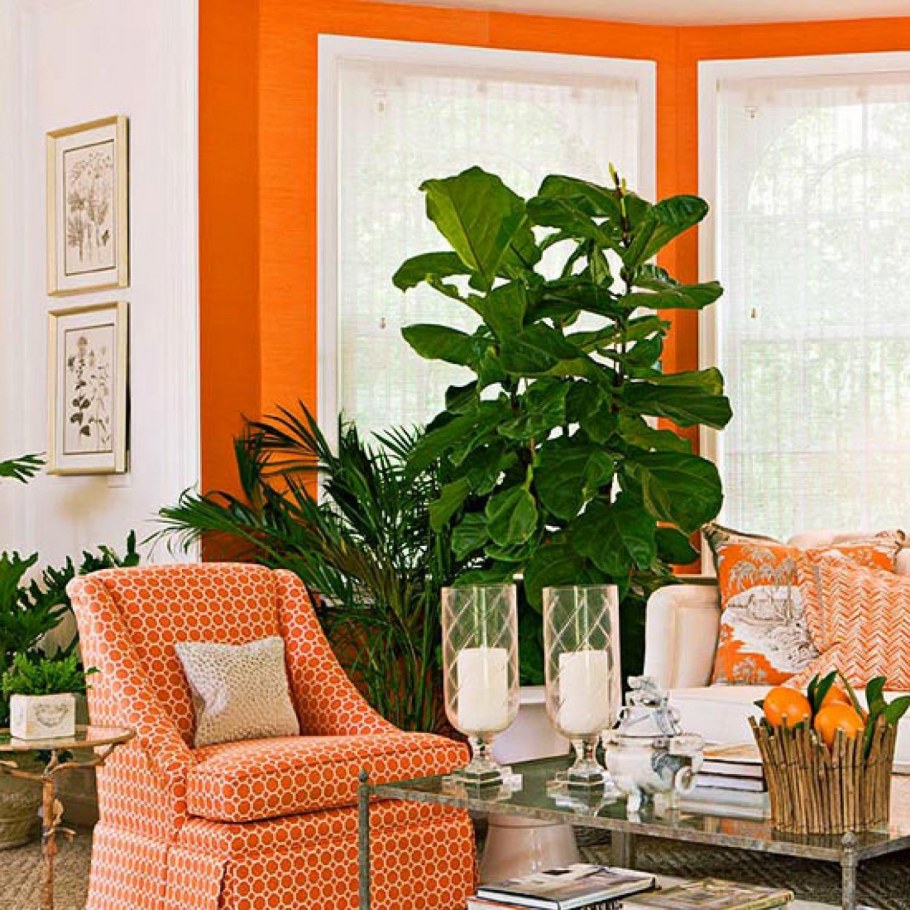 Оранжевый цвет в интерьере
