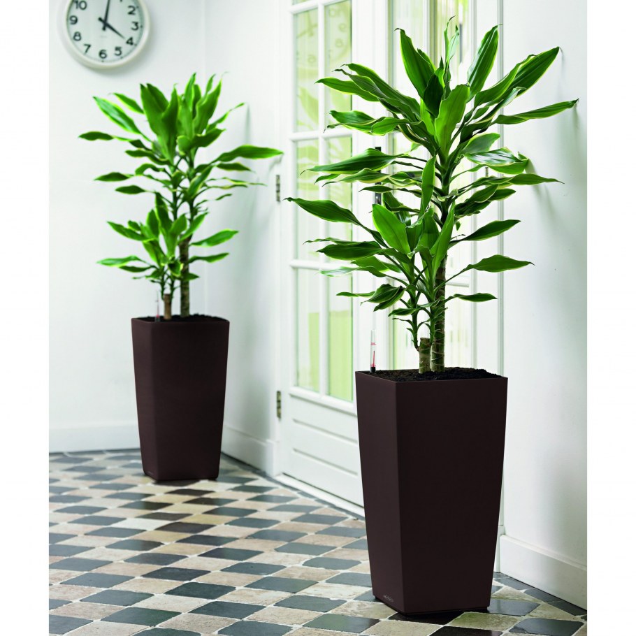 Высокое кашпо