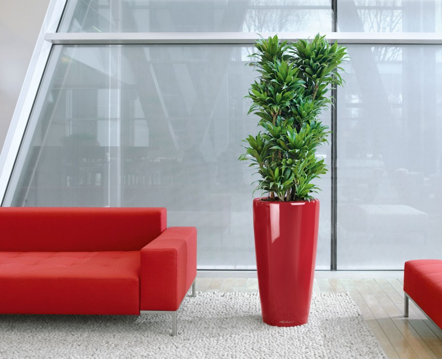 Красивые вазоны для цветов в квартире