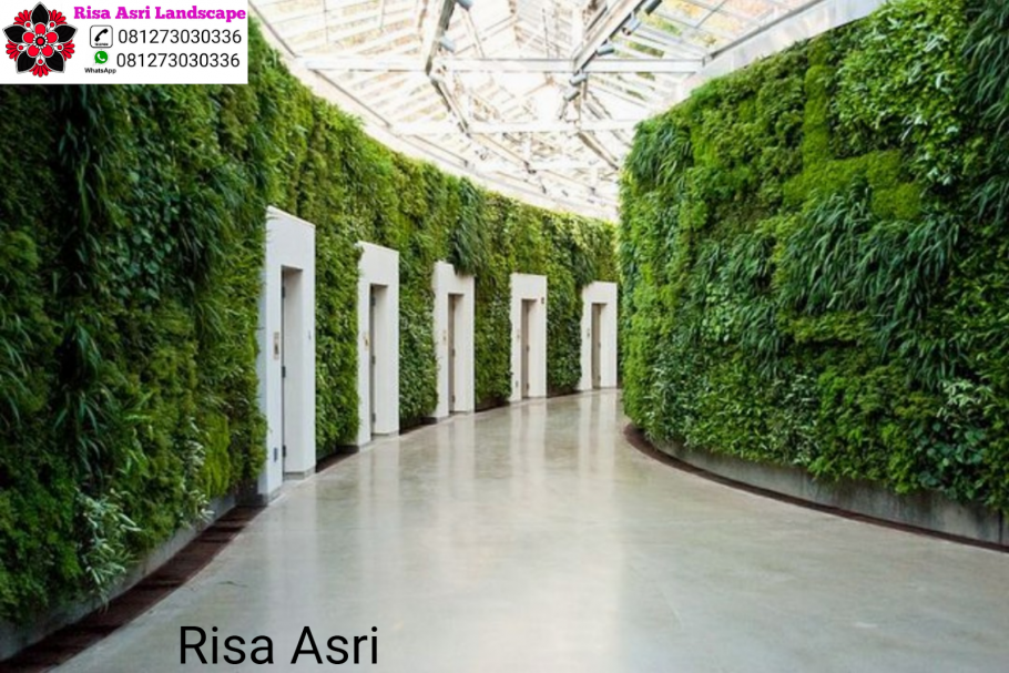 Вертикальное Озеленение террасы