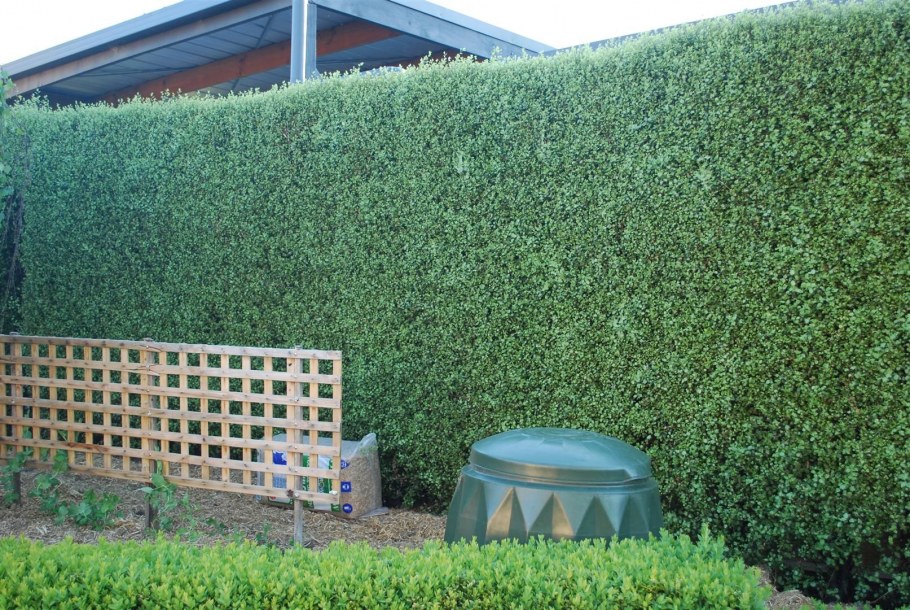 Экостиль в озеленении