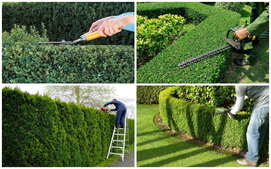 Искусственный вертикальный газон