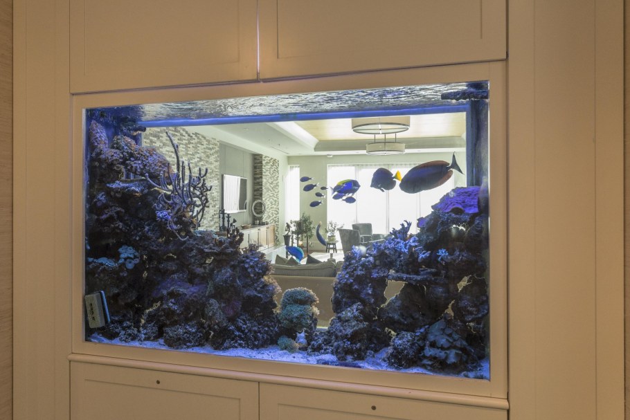 Аквариум "аквариум in Dub"