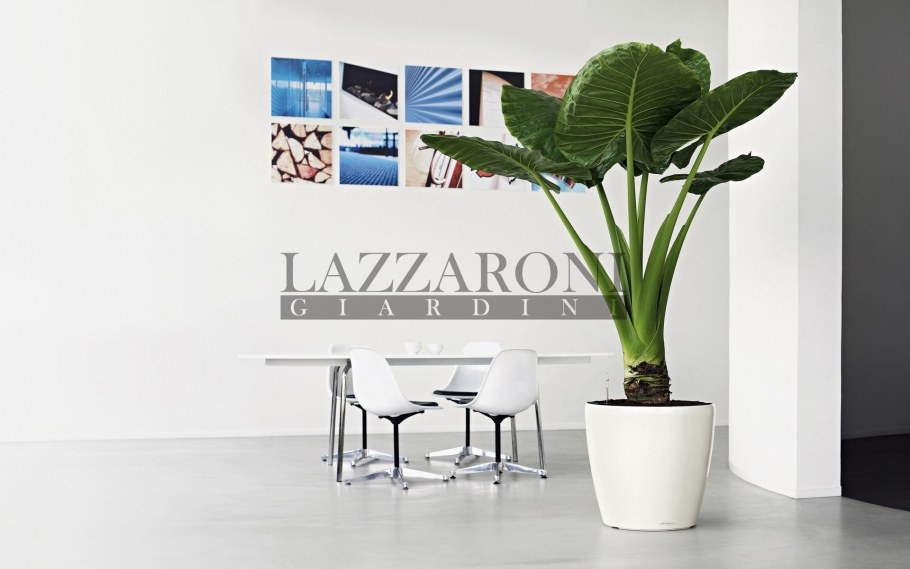 Кашпо Lechuza Рондо